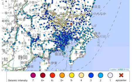 Magnitude 5.5 Tokyo Earthquake Jolts Southern Ibaraki Prefecture