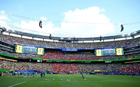 France Senegal Forecast Falls to 21-26°C at MetLife Stadium
