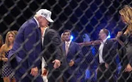 Dana White rejects another White House night — Ultimate Fighting Championship