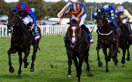 Scandinavia Shortens to 5/4 in Gold Cup Talk At The Races