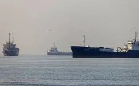 Oil Falls to $80.50 as U.S.-Iran Deal Hopes Build — Tsx Today Live