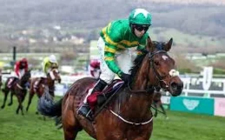 Tom Segal backs Joseph O'brien to match Aidan O'Brien