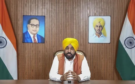Bhagwant Mann Denies Video Claim After Akal Takht Verdict