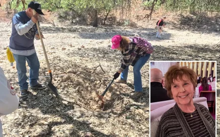 Buscando Corazones Nogales Search follows tip on Nancy Guthrie remains