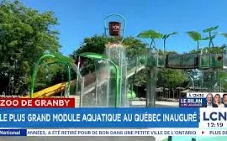 Zoo De Granby dévoile un module aquatique de plus de cinq millions