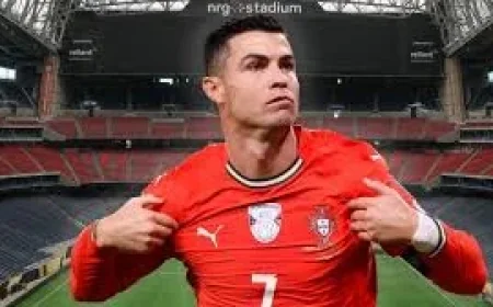 Vitinha and Bruno Fernandes drive Portugal’s 7.1% World Cup case