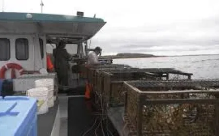 Wall says costs, prices squeeze P.E.I. lobster fishers — Ctv