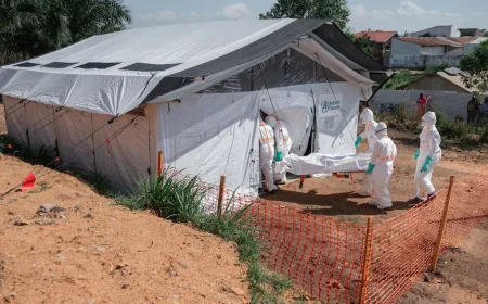 WHO Warns Republic Of Congo Ebola Cases Top 800