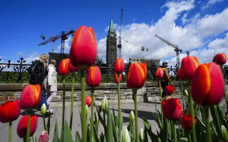 Statistics Canada Reports Canada's Population Fell 55,000 in Q1 2026