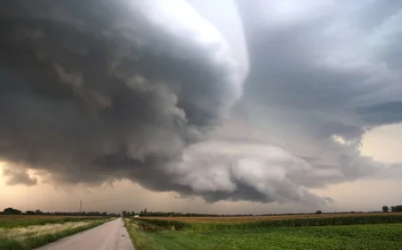 Environment Canada Issues Special Weather Statement for Central Alberta