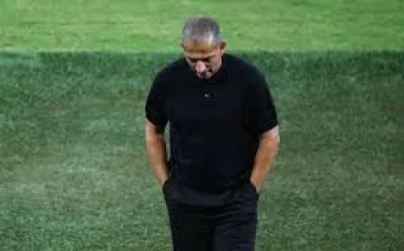 Sabri Lamouchi Fired After Tunisia's 5-1 Loss, Next World Cup Game
