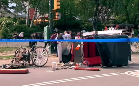 Central Park Carriage Horse Kills 18-Year-Old Tourist Near Tavern on the Green