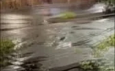 Storm damage reported in Oakbrook, Florence Ky Tornado coverage