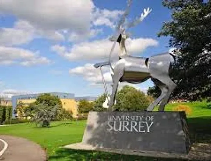 Jon Groenen says suspect detained after Surrey Crossbow shooting
