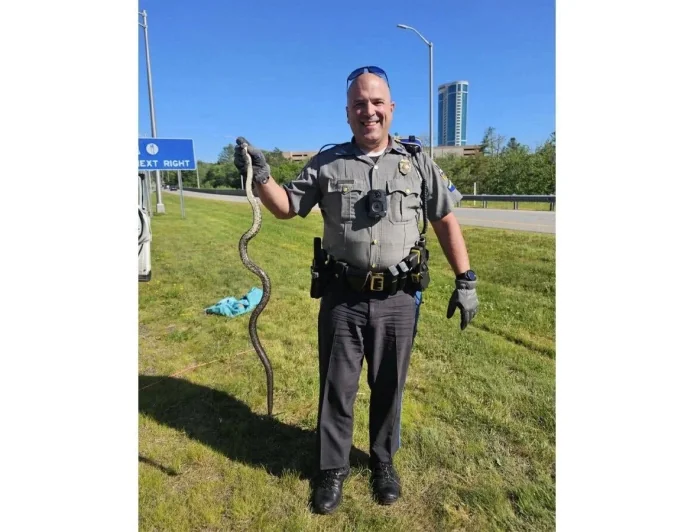 Troop E Trooper Car Removes Snake From Route 2 Car