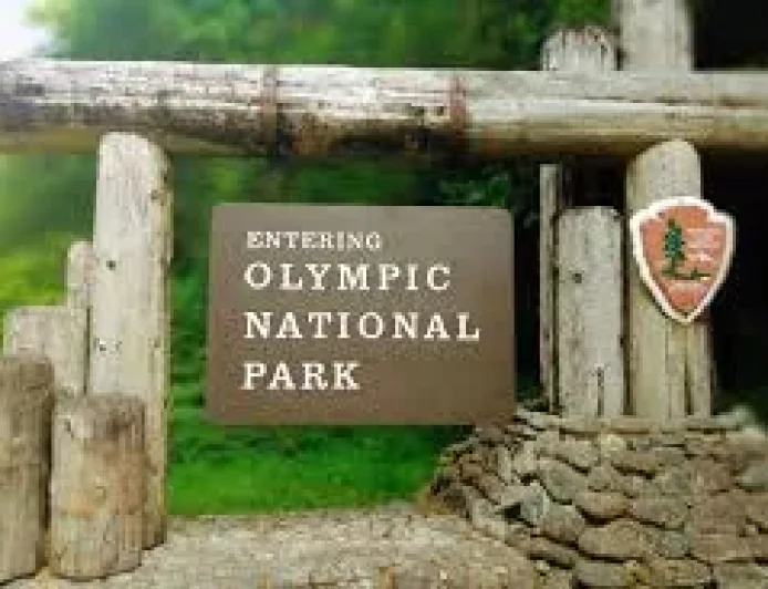 Joseph Louis Serrao Jr. identified after 26 years in Olympic National Park