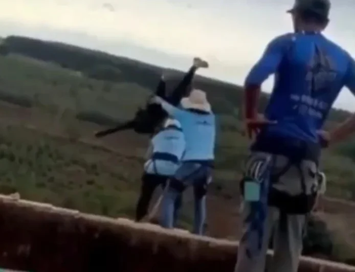 Maria Eduarda Rodrigues De Freitas dies after bridge push in Limeira