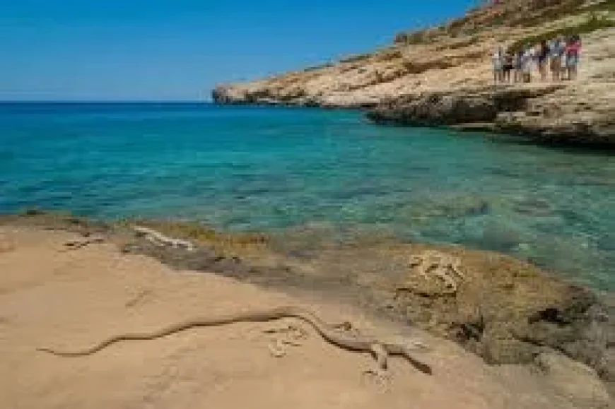 Ibiza Snake Swim to Santa Eulària Shows Sea Crossing