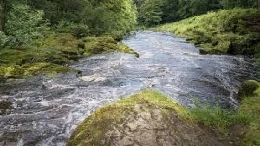 North Yorkshire Police say girl dies after Burnsall rescue