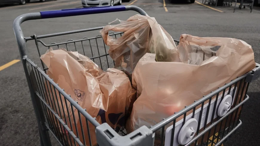 Erha Andini Says Plastic Bag Recycling Can Clog Equipment
