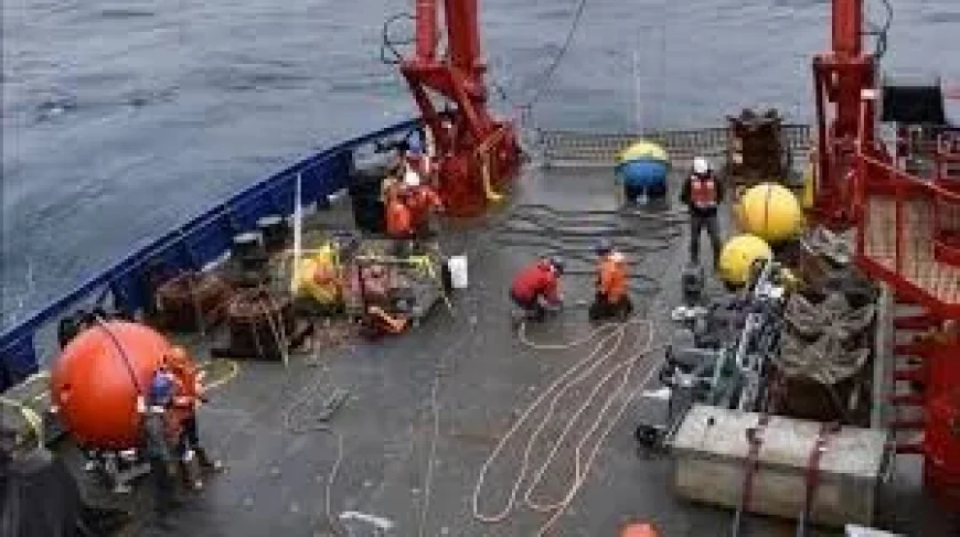 Trump Administration Moves 900 Buoys in Trump Ocean Monitoring Dismantling
