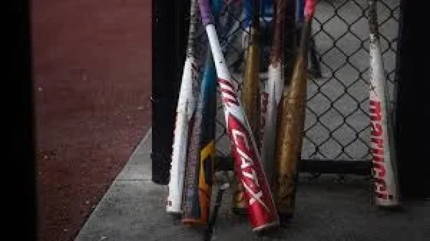 Michael Ryals Youth Baseball Coach Banned for Life After Kansas City Throw