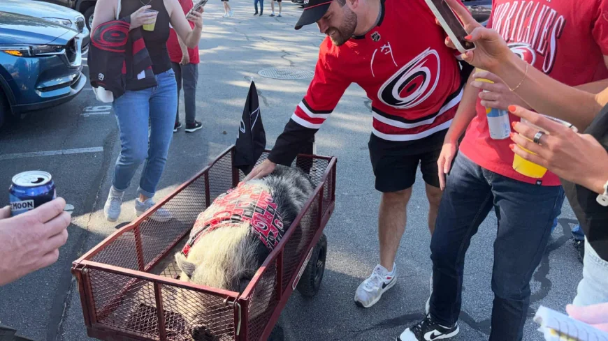 Mark Stone urges patience as Golden Knights Vs Hurricanes open Game 1