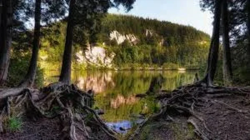 Squamish RCMP recover 2 from Browning Lake
