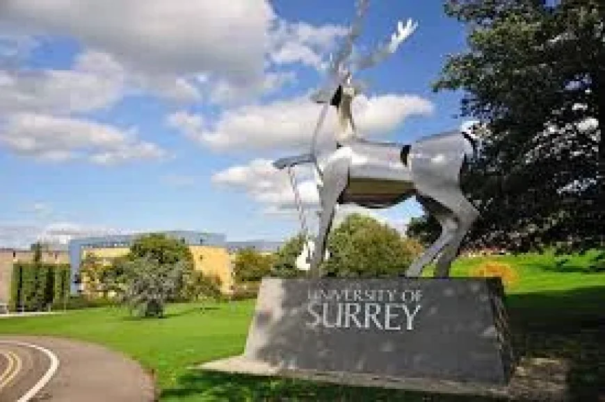 Jon Groenen says suspect detained after Surrey Crossbow shooting