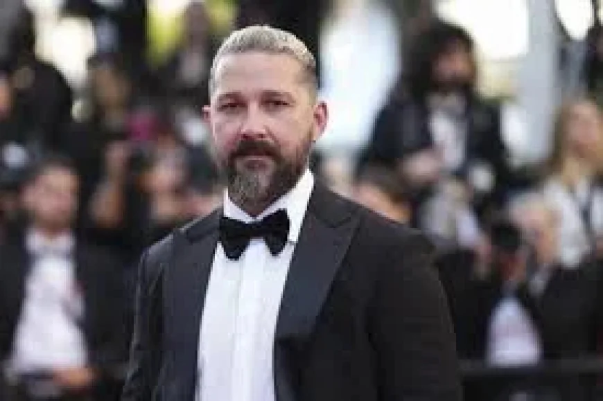 Shia Labeouf Sentencing Ends With 2 Years of Probation