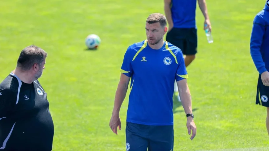 Barbarez Restará a Džeko en Panamá - Bosnia Y Herzegovina