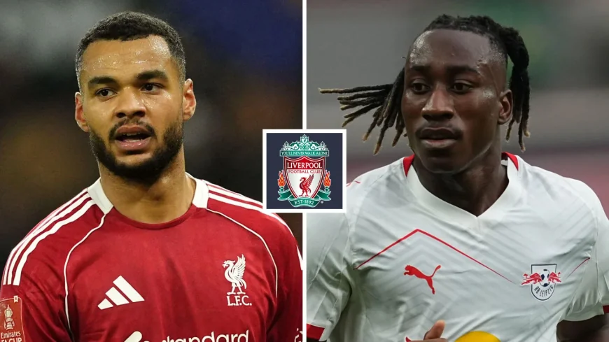 Cody Gakpo Spurs Move Gains Pace in Liverpool Diomande Transfer News
