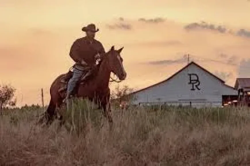 Cole Hauser Drives Dutton Ranch Episode 5 Review to July 3 Finale