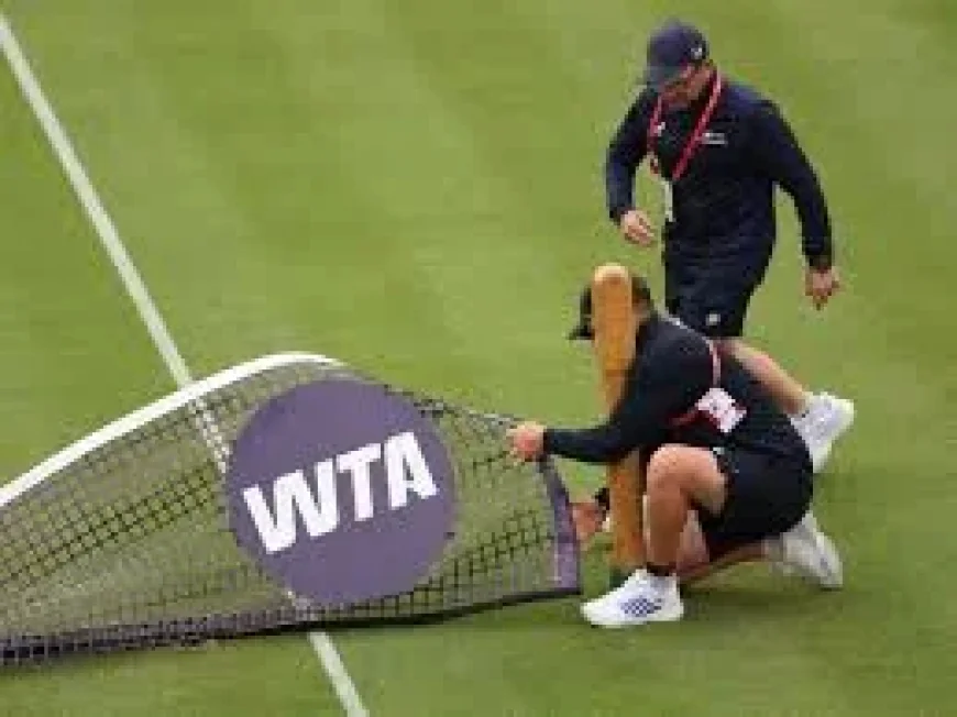 Zheng match halted after eight points at Queens