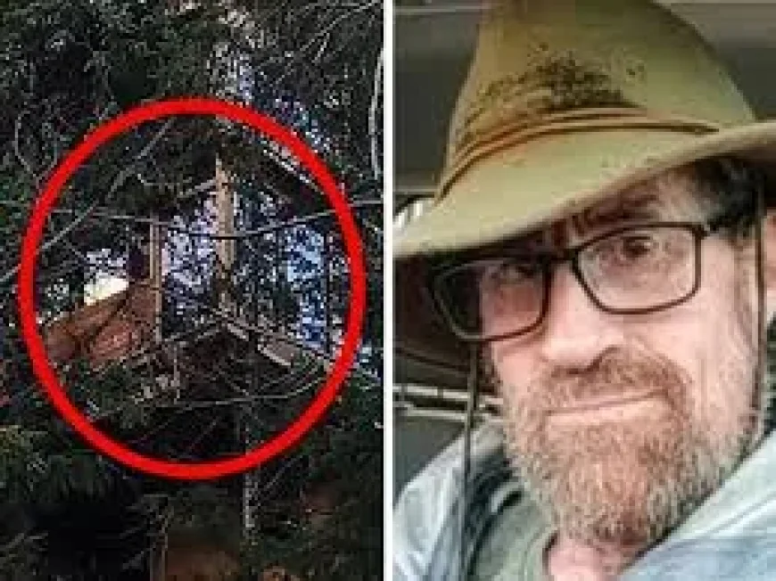 Aspen Treehouse Zoning Lawsuit Drives 403-Page County Case
