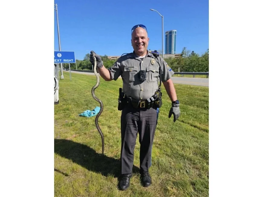 Troop E Trooper Car Removes Snake From Route 2 Car