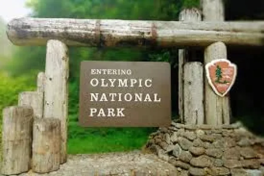 Joseph Louis Serrao Jr. identified after 26 years in Olympic National Park