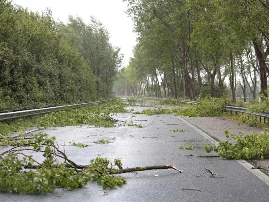 Naperville Weather: LaCloche Says 450 Still Without Power After 68 mph Gusts