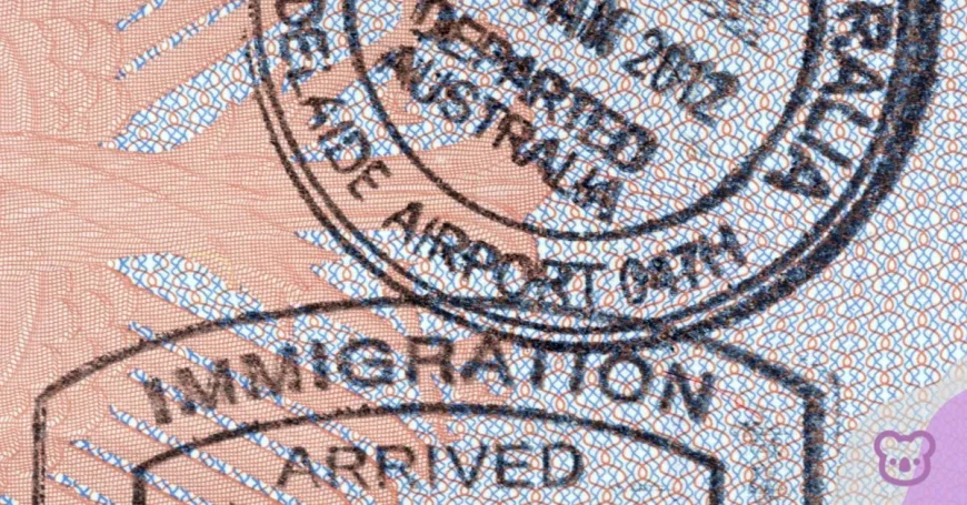 One Nation Bars Appeals For Dropout International Students In Australia