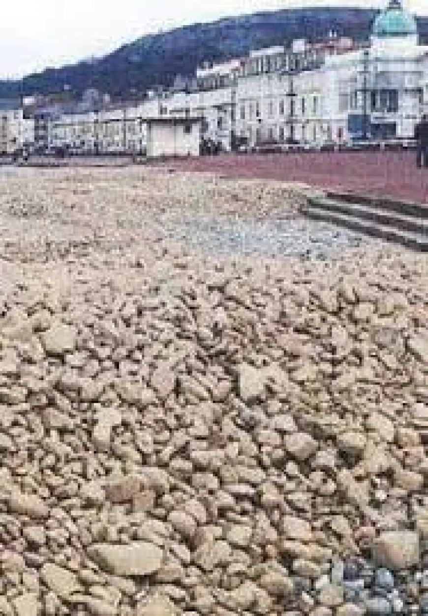 Portmeirion and Harlech Castle anchor a 128-mile coast route