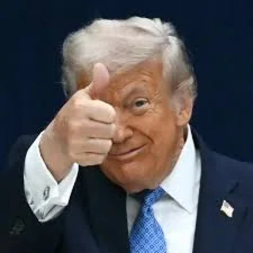 Jonathan Lemire Warns Trump Is in a Ms Now Echo Chamber