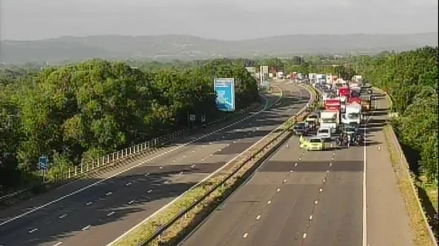 Police halt M5 Taunton traffic after reports of person in road