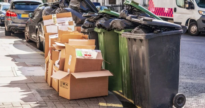 DEFRA Sets England Bin Collection Rules Fines at £80