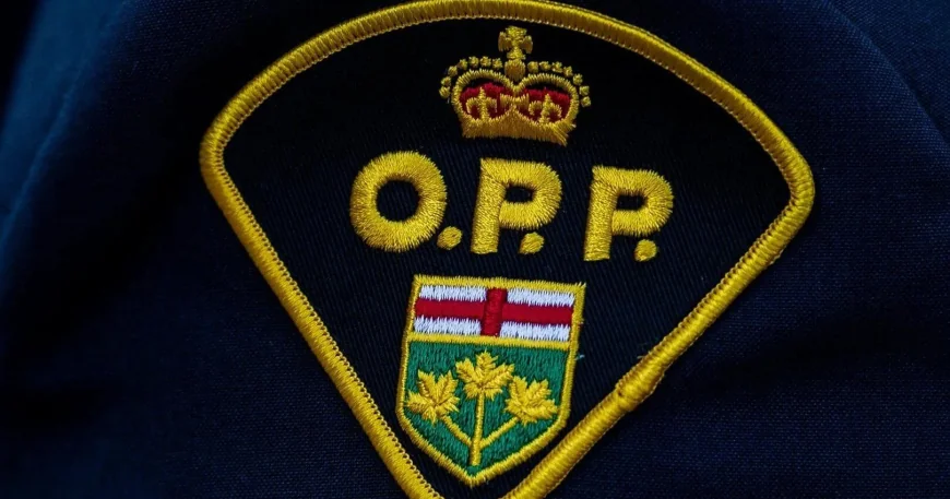 Ontario Provincial Police investigate deadly Mapleton Township crash