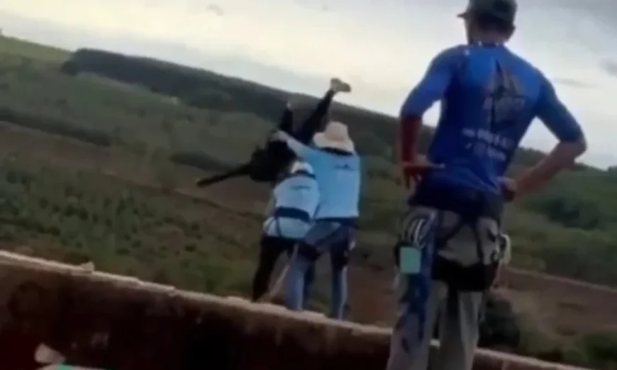 Maria Eduarda Rodrigues De Freitas dies after bridge push in Limeira