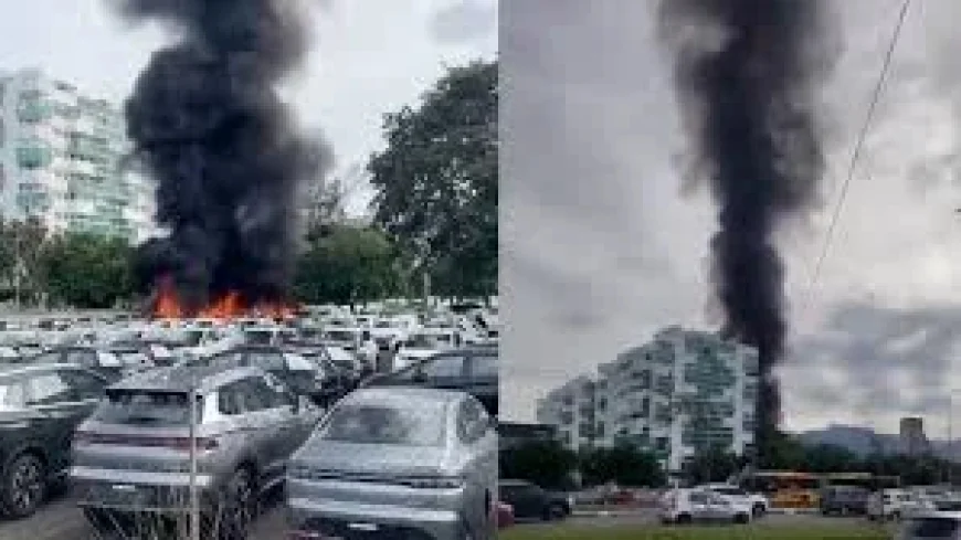 Gaspi Murio: seis muertos tras choque de helicópteros en Río de Janeiro