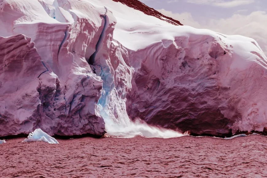 Antarctica logs 15.4C on Trinity peninsula in June heat