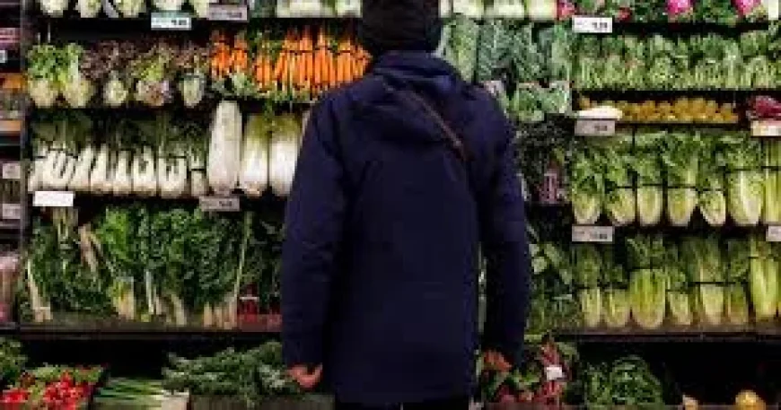 Canada Grocery Competition Strategy Faces 3-4 Penny Energy Squeeze