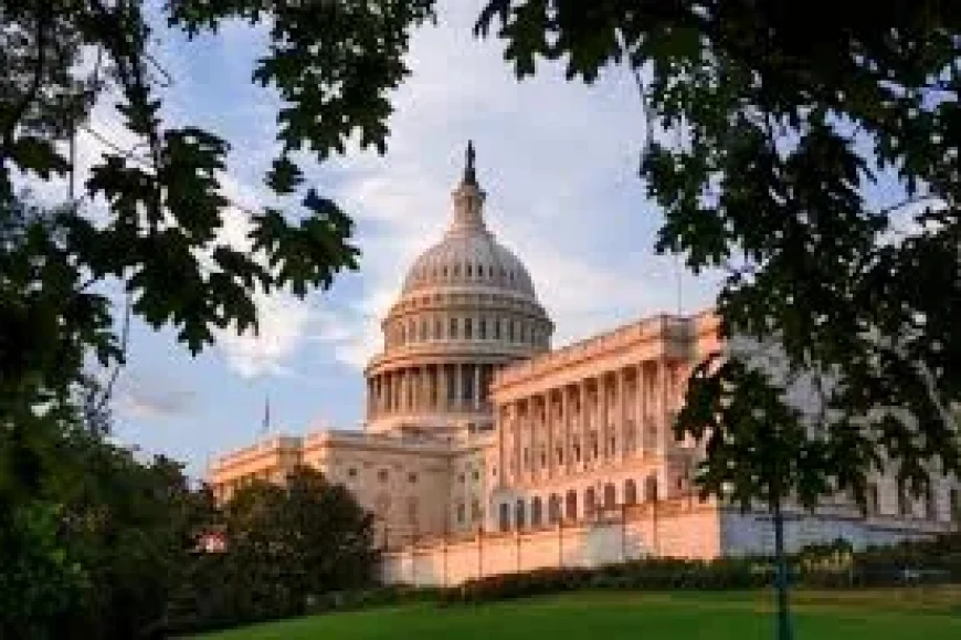 Hassan, Scott to Introduce ReportScams.gov Act on Fraud