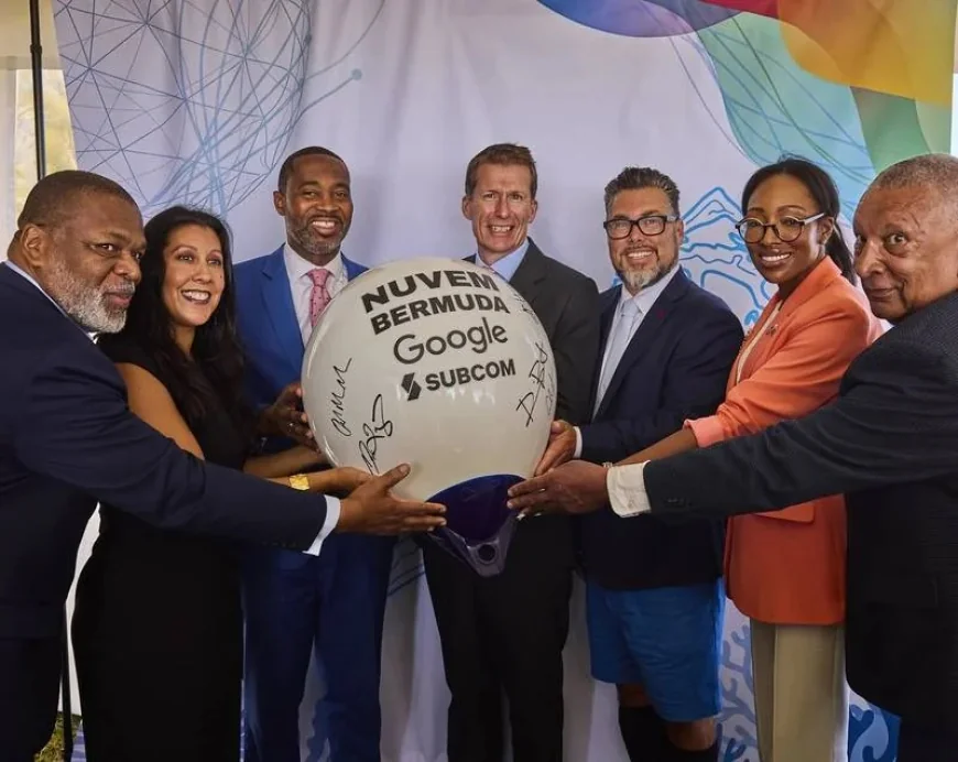 Alphabet Ties Bermuda Cable Landings to AI Infrastructure Push